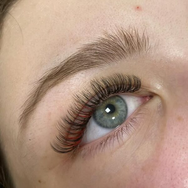 Skropstu pieaudzēšana Cēsīs